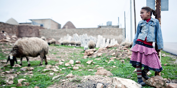 aleppo debaixo de fogo