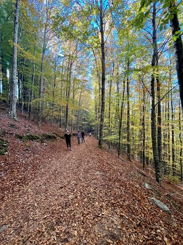 Aldeia SOS da Guarda em passeio pela Rota das Faias